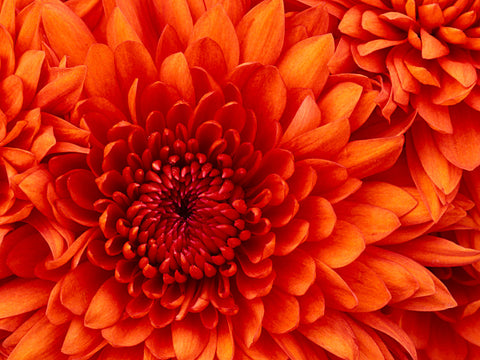 test 2